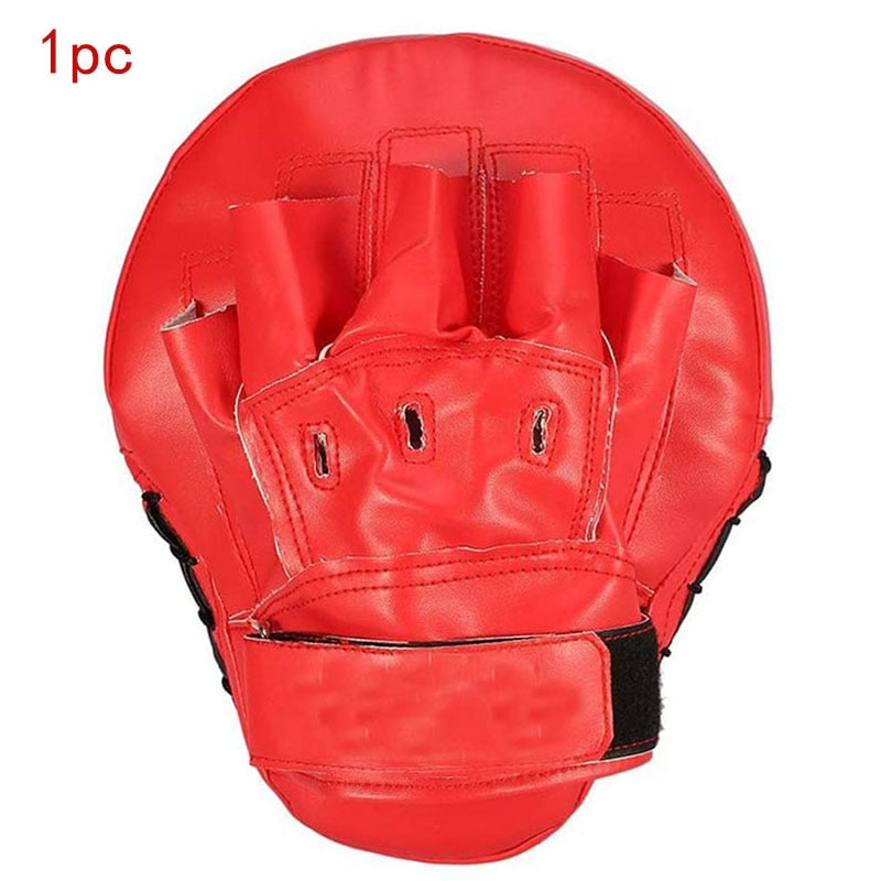 Boxing/Kickboxing/Martial Arts  Curved Leather Focus Mitts