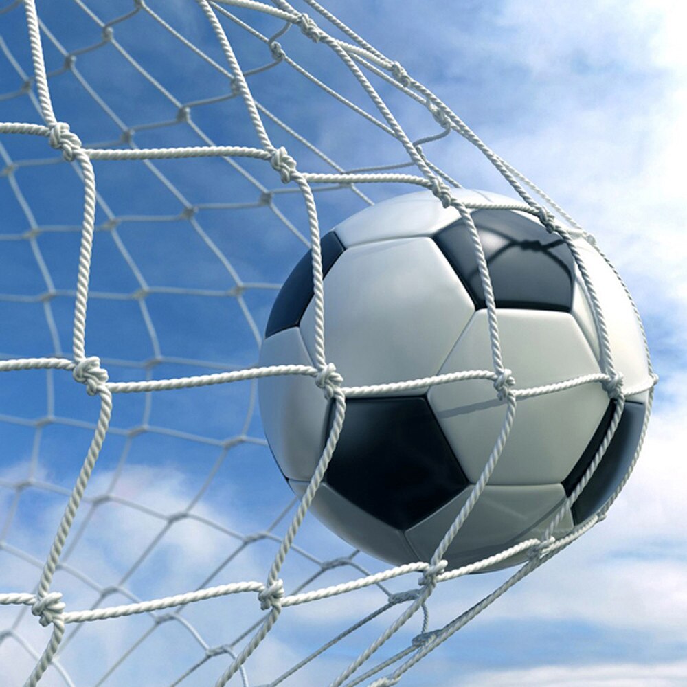 Football/Soccer Goal w/Post & Polypropylene Net