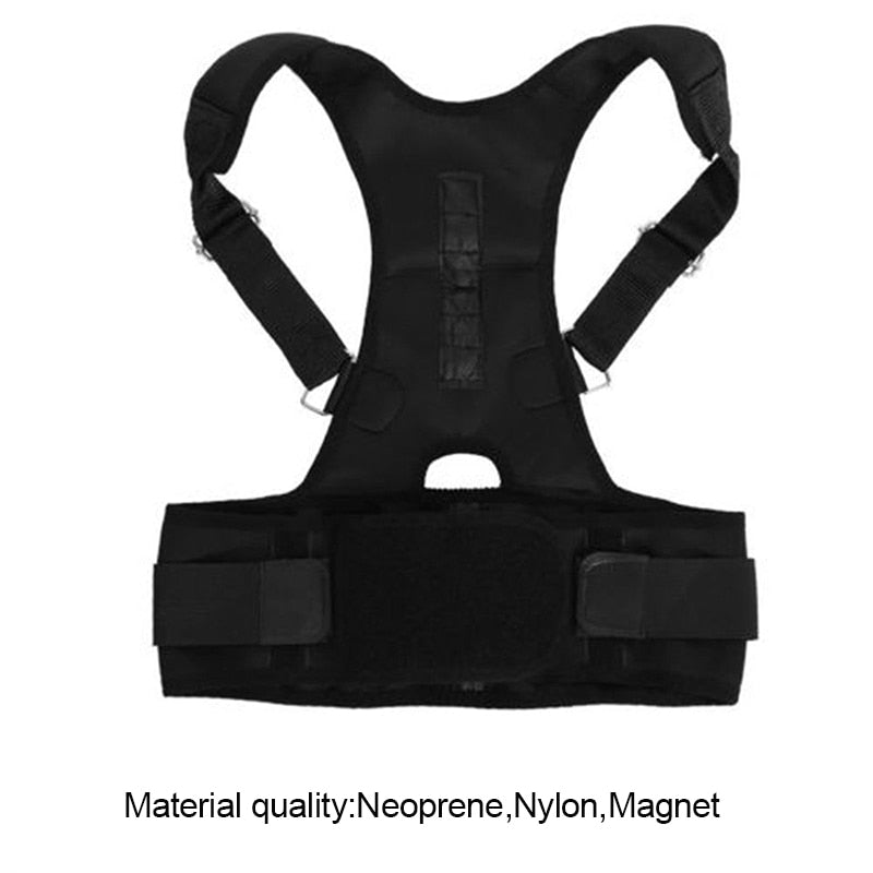 Back/ Harness Support