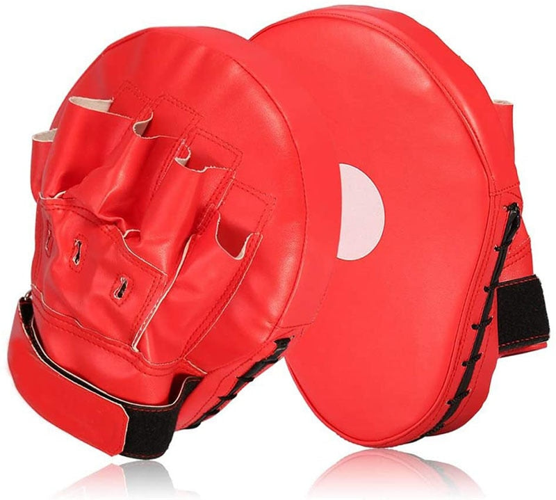 Boxing/Kickboxing/Martial Arts  Curved Leather Focus Mitts