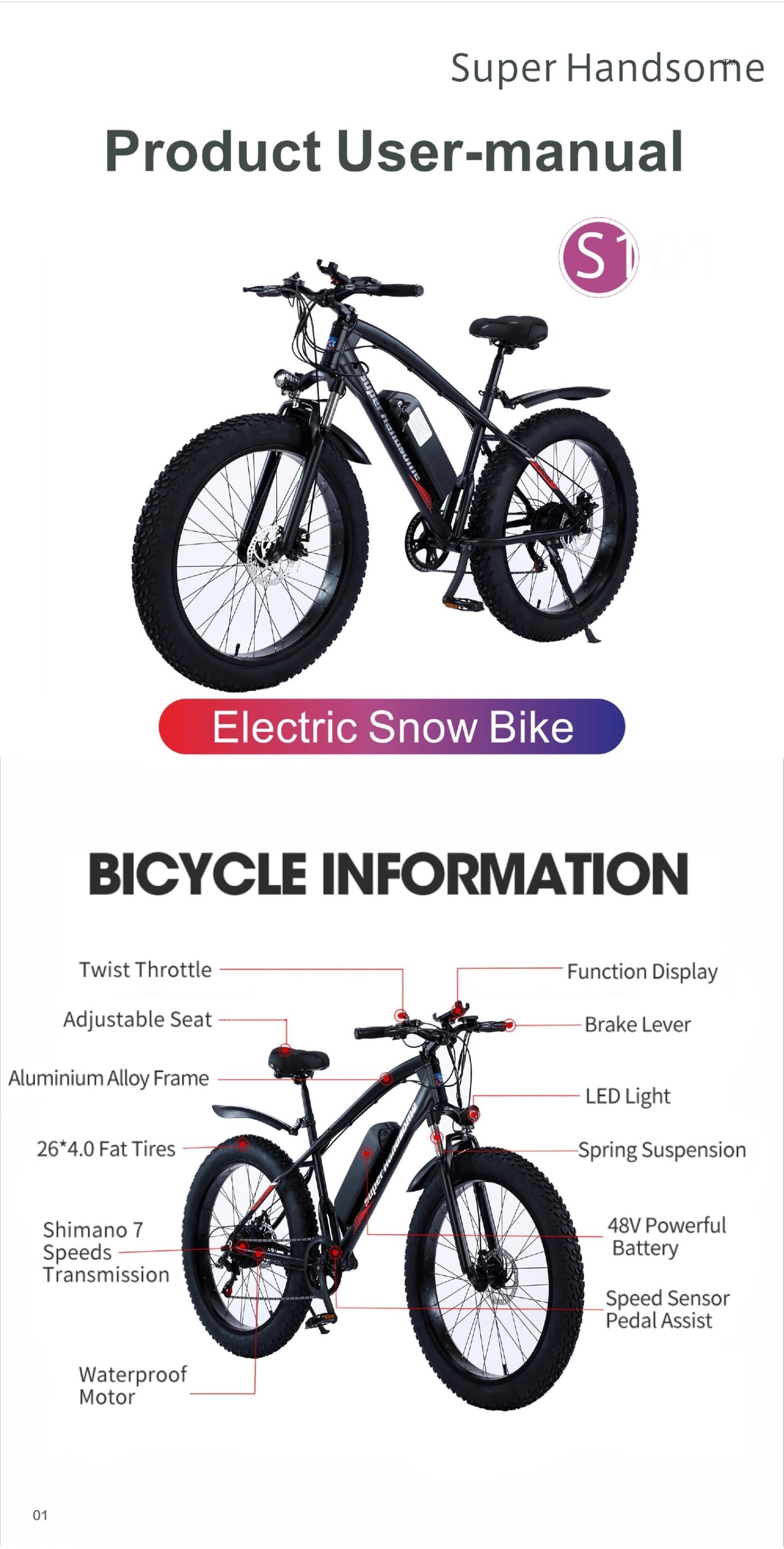 SUPER HANDSOME 26 inch Electric Mountain Snow Bike